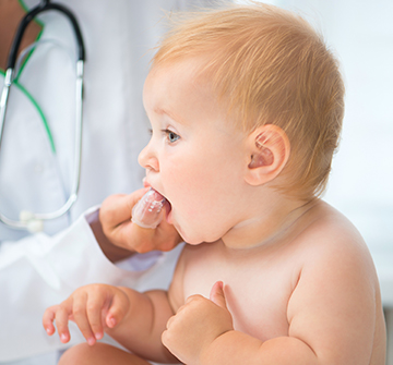 Toddler receiving dental checkup